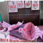 Bonito del norte al corte