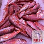 Salmonetes