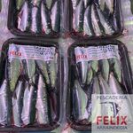 Sardinas Limpias Envasadas al Vacío