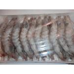 LANGOSTINO CRUDO