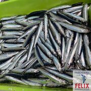 boquerones anchoas