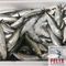 Sardinas