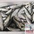 Sardinas